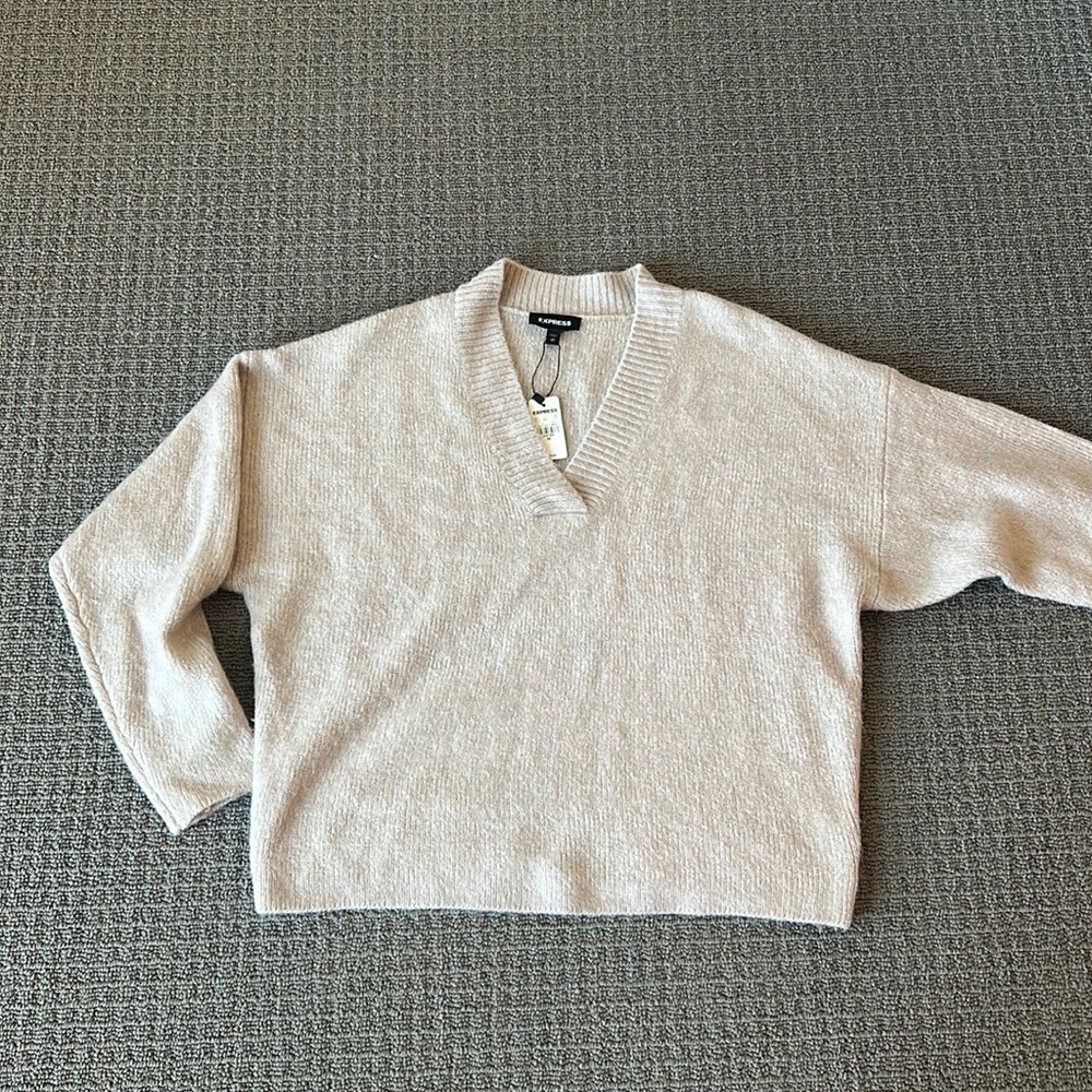 Express v neck sweater